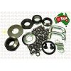 Steering Box Repair Kit Massey Ferguson & David Brown