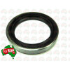 Timing Cover Oil Seal