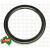 Rear Crank Lip Seal (Viton)