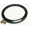 Rear Crank Lip Seal (Viton)