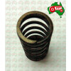 Inner Valve Spring