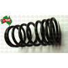 Inner Valve Spring