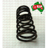 Inner Valve Spring