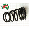 Outer Valve Spring