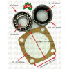 Rear PTO Seal and Bearing Kit with Rubber Seal