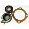 TE20 Rear PTO Seal and Bearing Kit with Leather Seal