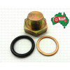 International  Sump Plug & Washer Kit