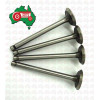 Intake Valve for Massey Ferguson 