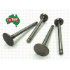 Massey Ferguson Exhaust Valve Standard