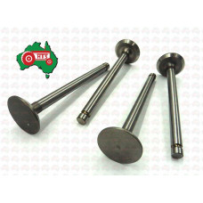 Massey Ferguson Exhaust Valve Standard