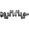 Crankshaft (Rope Seal)