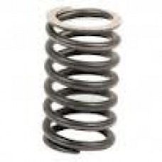 Valve Spring