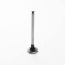 Exhaust Valve