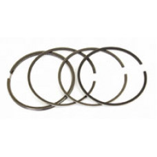 Ring Set (1 Cylinder)