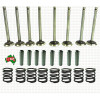 Inlet And Exhaust Valve Train Kit